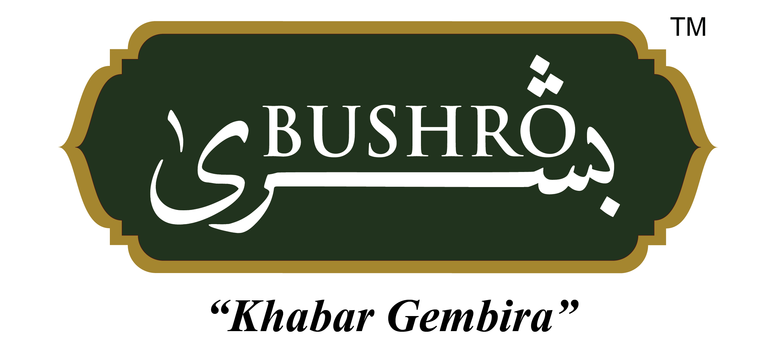 bushromarketing.com